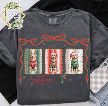 Load image into Gallery viewer, MERRY GOLDEN CHRISTMAS
